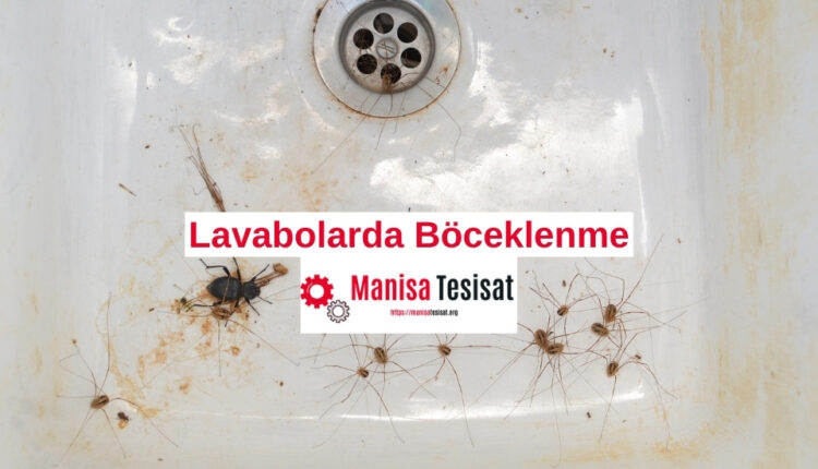 lavabolarda-boceklenme